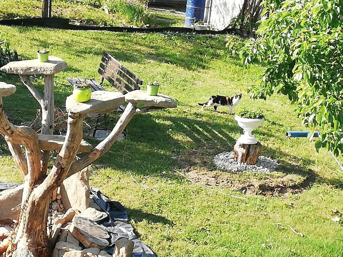 Apartmany Mk U Modre Kocky Nové Hrady Exterior foto